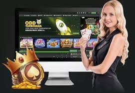 dg88 Live Casino